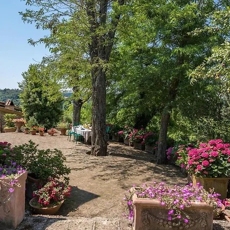 Poderino 6, Emma * 트레콴다